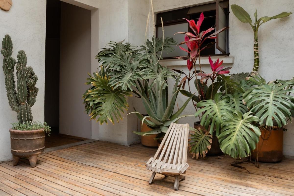 Casa Lomah Hotel Мексико Сити Екстериор снимка